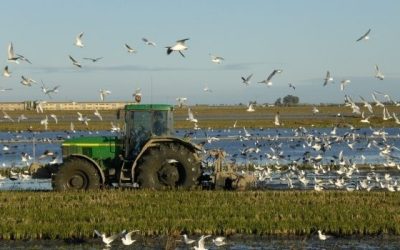 Riet Vell, premio a la producción sostenible